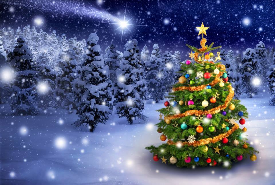 GOD JUL & GOTT NYTT ÅR